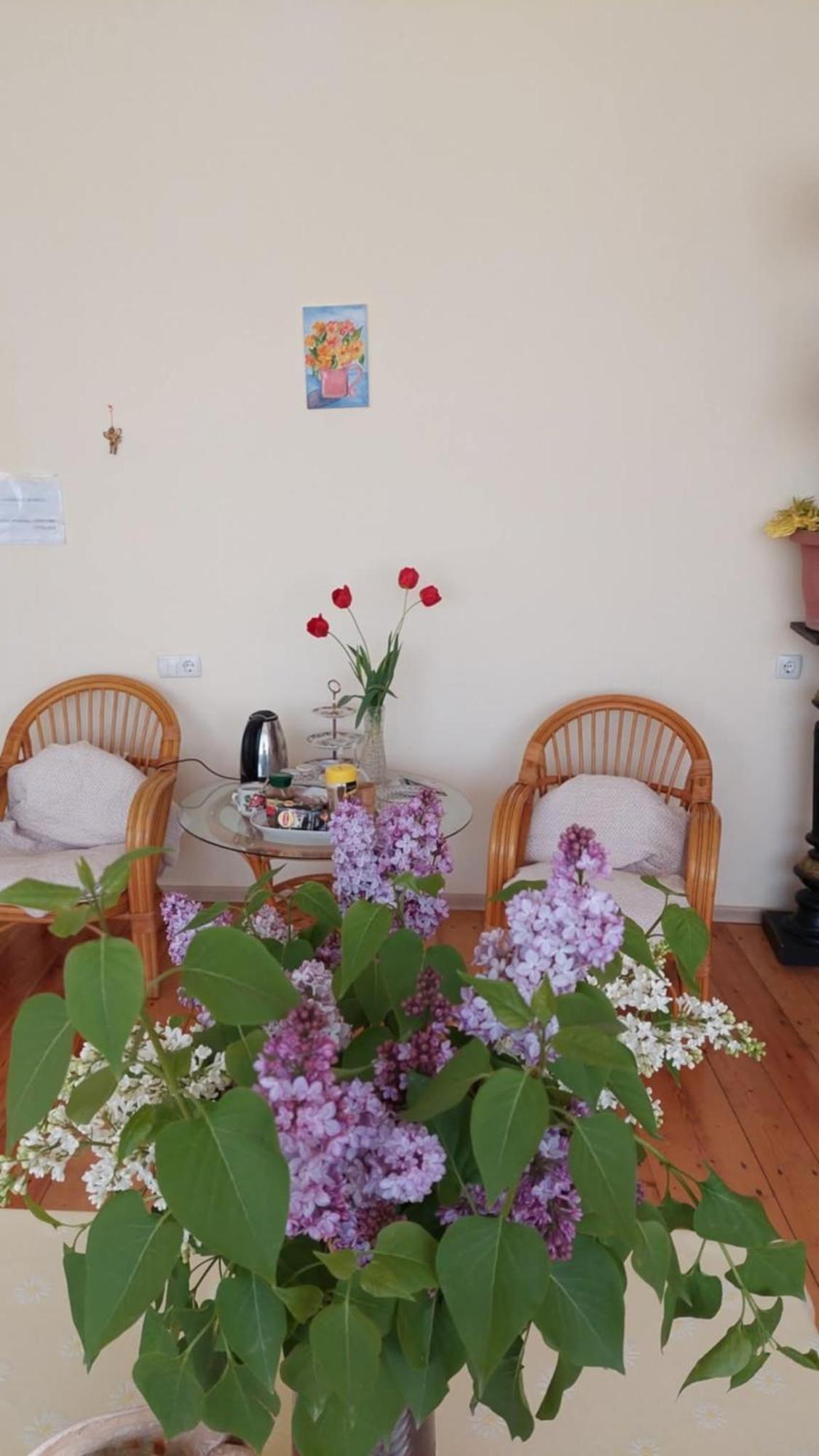 Guesthouse "Door" In Сигнахи Экстерьер фото